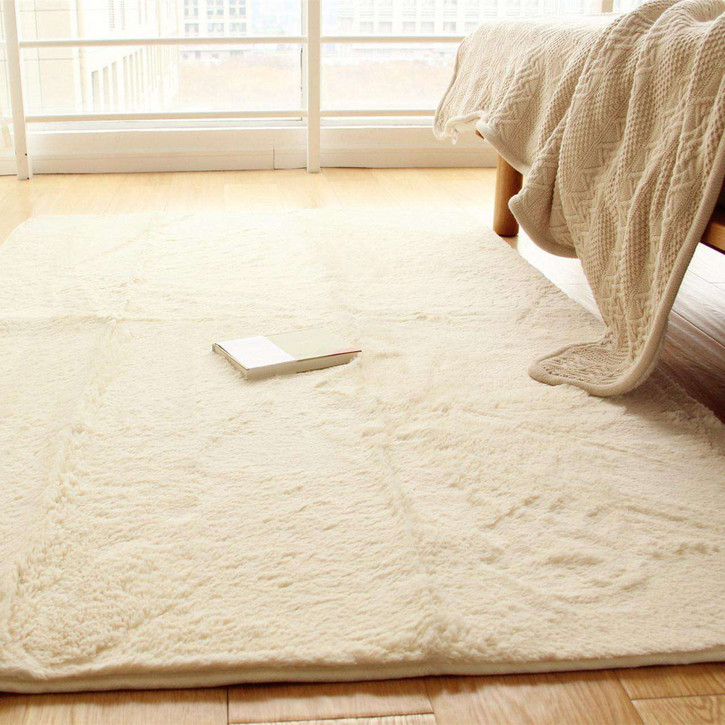 【干货】几种地毯清洗方法及技巧