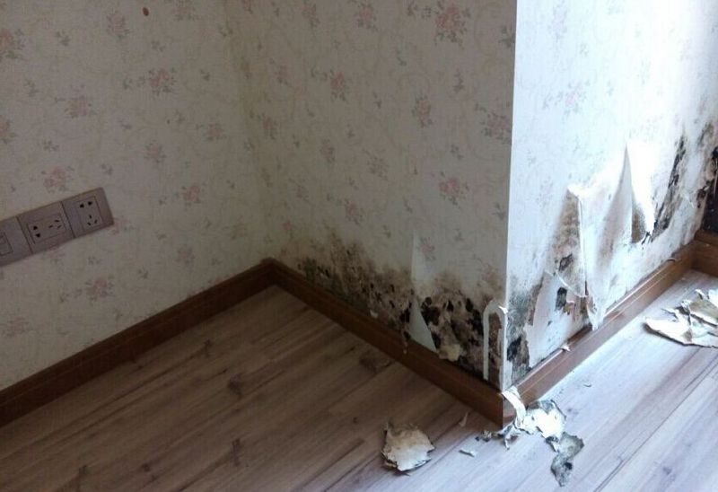 房屋装修墙体为什么会开裂发霉